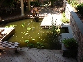 x-pond-013a.JPG