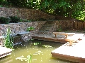 x-pond-014a.JPG